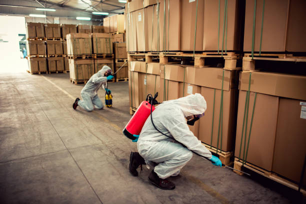 Best Pest Control Near Me  in Alexandria, VA