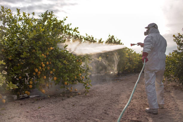Trusted Alexandria, VA Pest Control Experts
