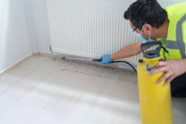 Best Affordable Pest Control Services  in Alexandria, VA
